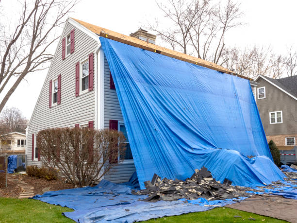 Best Basement Cleanout  in Avon Lake, OH